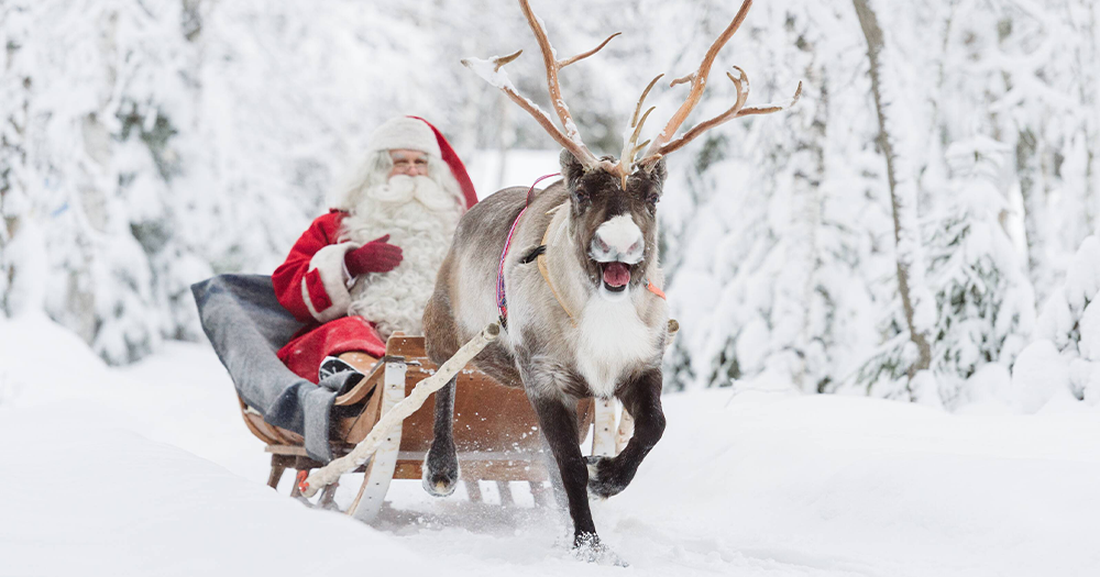 While you might get to meet Santa’s reindeer (maybe even Rudolph, who knows?) at his official office in Rovaniemi, you might be lucky to also spot the furry creatures in Lapland’s open nature. © Juho Kuva