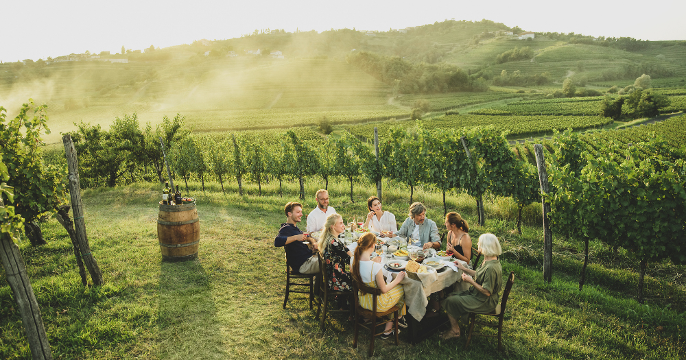 Group of friends enjoying an outdoor dinner with wine in a vineyard in Slovenia.