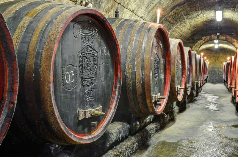 These casks of wine in a Hungarian wine are aged for years before Being used.